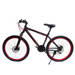 阿瑪尼自行車 奢華體驗(yàn)與加盟前景全解讀